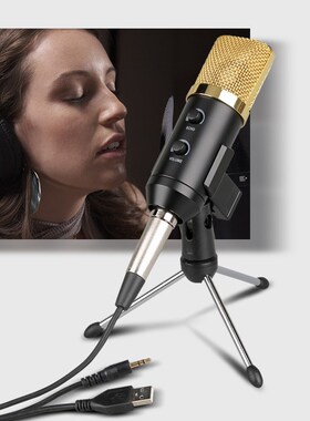 Network Karaoke Condenser Microphone BM700USB Reverb Microp