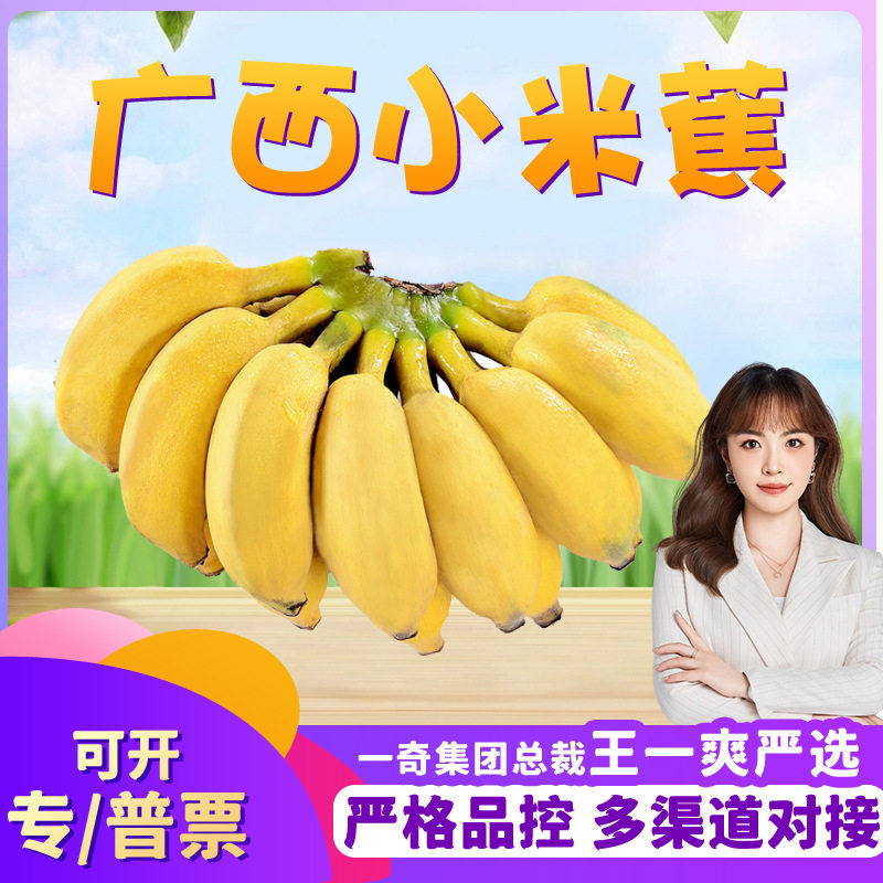 【严选】广西小米香蕉 3/9斤新鲜水果软糯小香蕉非苹果粉蕉