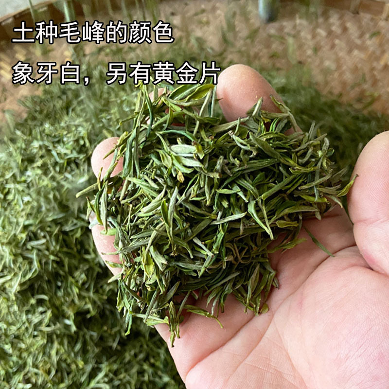 2026新茶黄山毛峰散装明前浓香型安徽黄山绿茶叶土种毛尖春茶