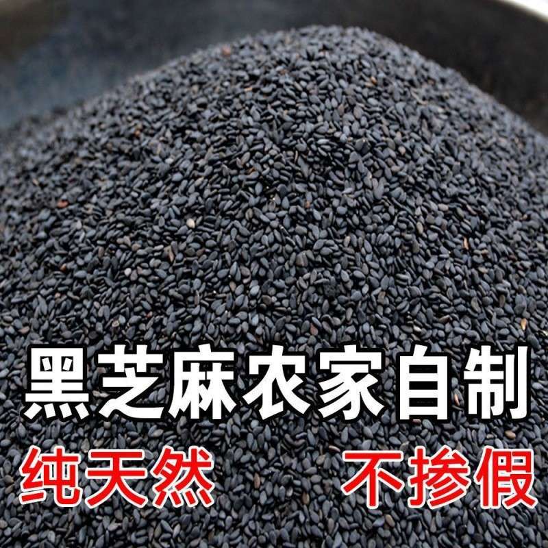 黑芝麻粒食用熟黑芝麻500克炒熟芝麻生黑芝麻即食免洗干净包
