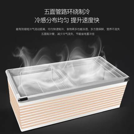 展示柜海雪家用冰柜冰箱商用卧式大容量冷藏柜冷冻柜冷柜超市速冻