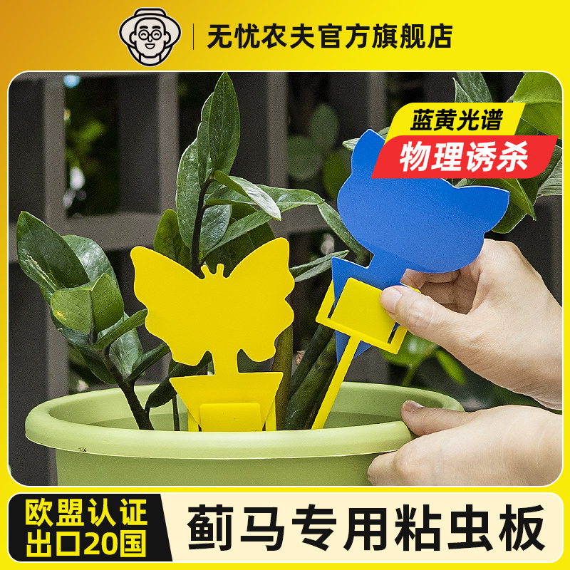 安全无毒蓟马专用粘虫板双面诱虫