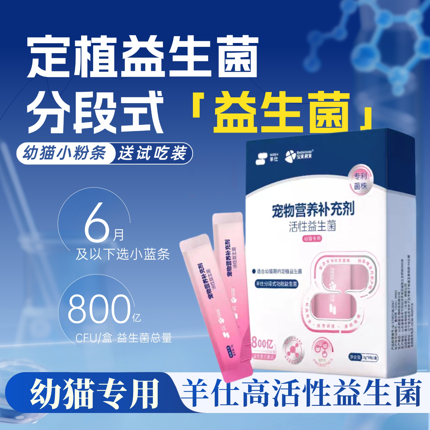 怕老婆豆哥益生菌调理肠胃定植