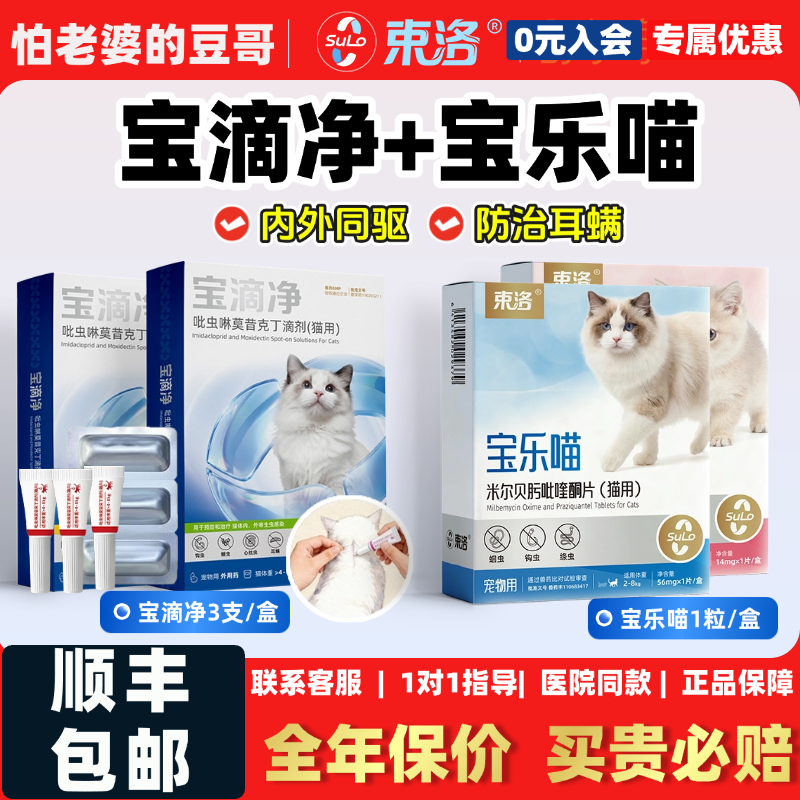 怕老婆的豆哥束洛宝滴净内外同驱