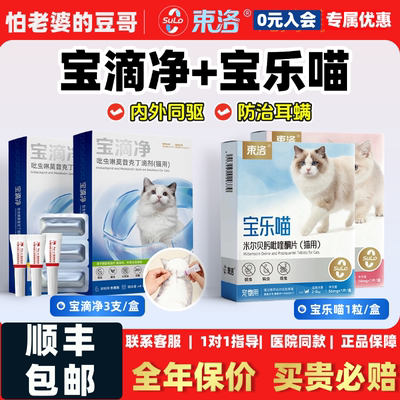 怕老婆的豆哥束洛宝滴净内外同驱