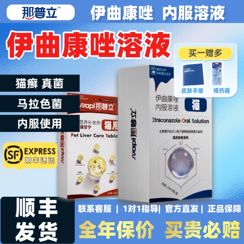 怕老婆的豆哥伊曲康唑真菌猫癣药
