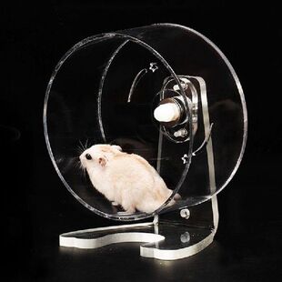 Hamster Running Wheel Quiet Acrylic Pet Exercise Toy Small