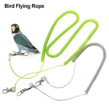 bite Parrot Flying Pet Bird Kit Starling Leash Anti