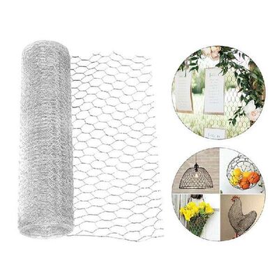 Protective Galvanized Hexagonal Outdoor Garden Plants Yard