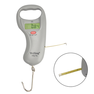 45kgx10g Luggage Scales Hanging Fishing Hook Balance Scale W
