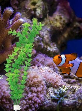 Green water grass Artificial underwater plants Viewing