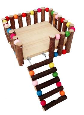 Resting Lightweight Gerbils Chinchilla Fence Hamster