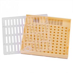 Bee Queen Rearing Cell Cupkit Box Case For Cupularve System