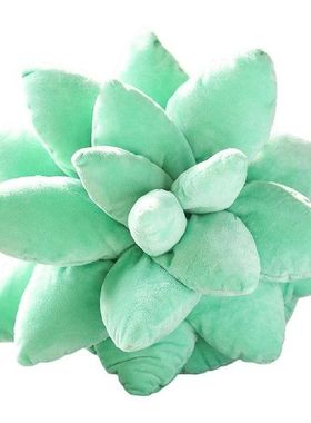 Succulents Throw Pillow Novelty Soft Sofa Couch Bedroom