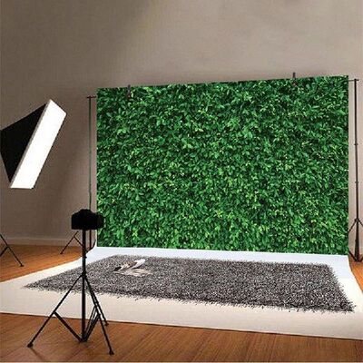 Spring Nature Green Grass Leaves Photography Backdrops