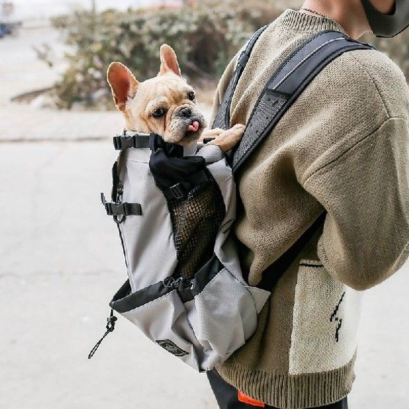 Outdoor Travel Puppy Medium Dog Backpack for Small Dogs