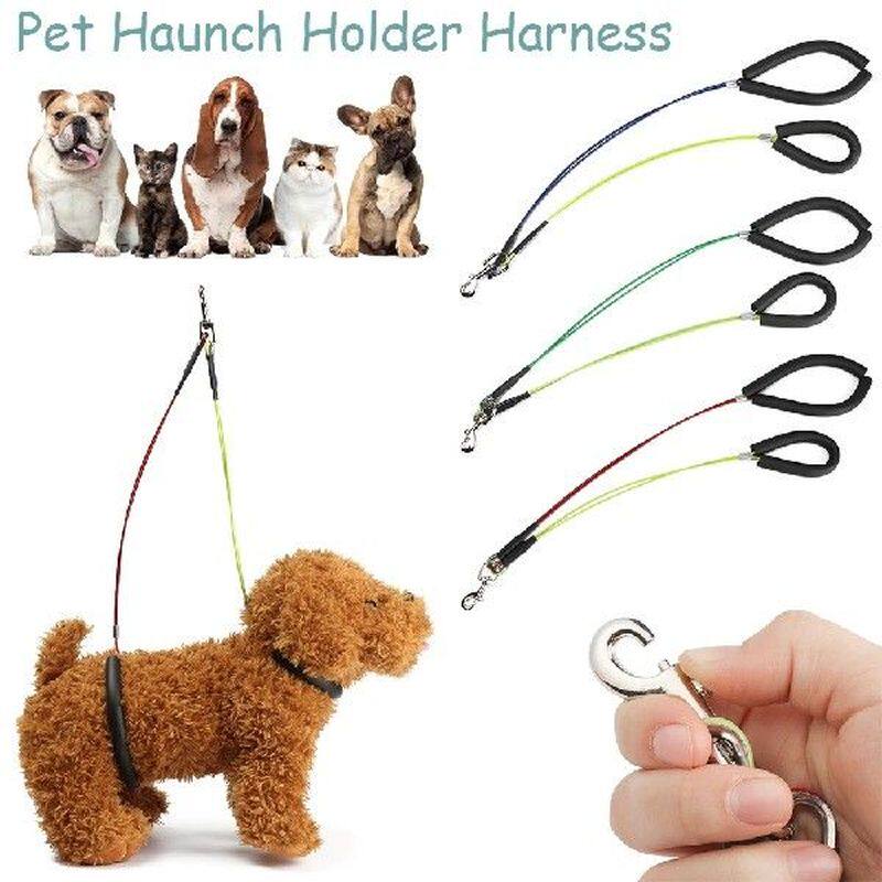 dog cat standing training no-sit pet haunch holder pet
