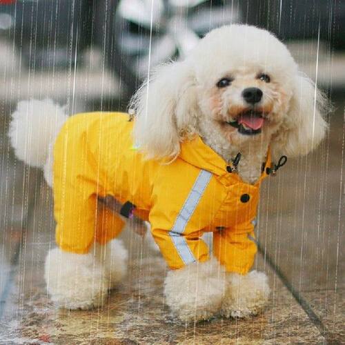 Pet Dog Raincoat Pet Clothes Jumpsuit Waterproof Dog Jacket