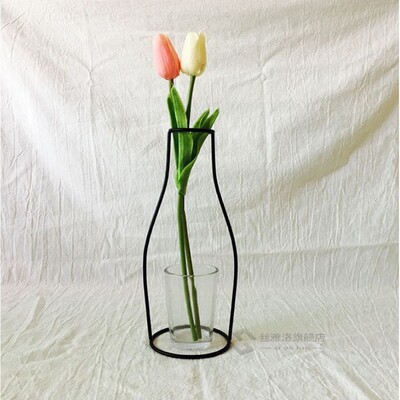 Faroot Iron Wall Hanging Shelf Glass Flower Vase Holder Home