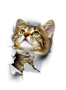 Lovely Cat Toilet Stickers Home Decoration Diy Funny