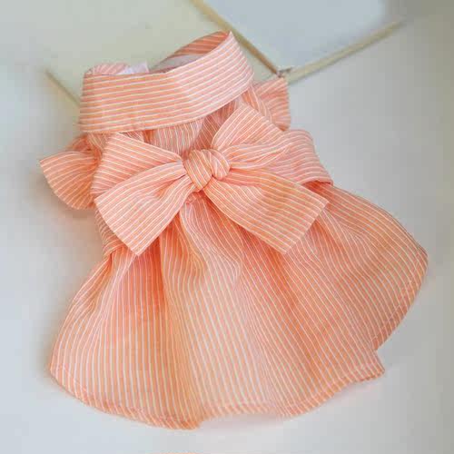 Solid Colors  Beautiful Summer Dog Two-legged Clothes