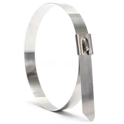 10X Marine Grade Cable Ties Zip Exhaust Wrap Straps