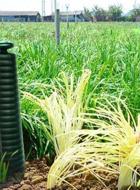 10x Sun Shade Barrel Cover Stackable Leek Forming Tools