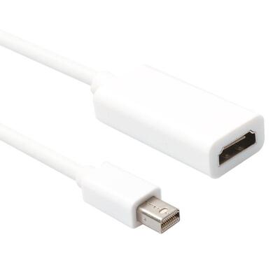 20CM Mini Display Port Male Thunderbolt DP To HDMI Female Ad