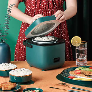 Portable Electric Rice Cooker 220V Food Steamer Cooking Pot