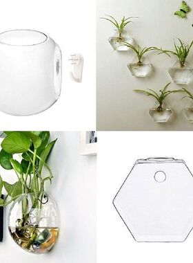 Set of 4 Wall Hanging Plant Terrarium Glass Planter for