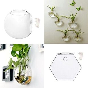 Set of 4 Wall Hanging Plant Terrarium Glass Planter for
