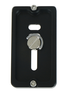 Quick Release Plate with 1/4