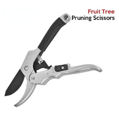 20cm Ratchet Plant Trim Horticulture Hand Shear Orchard