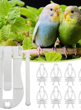 Plastic Birds Food Holder Pet Parrot Feeding Fruit Vegtable