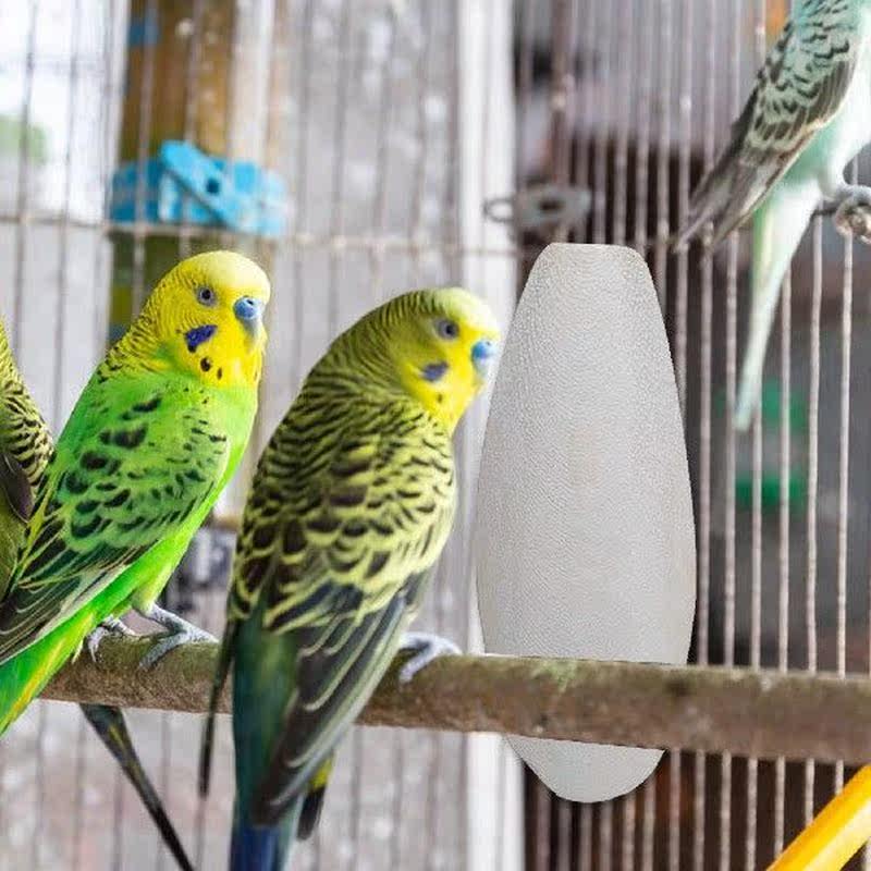 10pcs cuttlebone for birds natural cuttle bone for bird