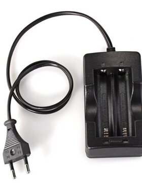 Chargeur EU Filiaire Charge Accus Batterie Pile Rechargeable