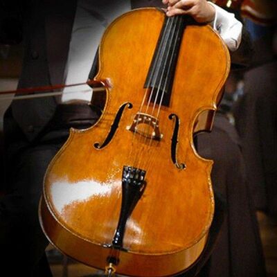 Professional Cello Endpin Replace Parts Accessory Musical