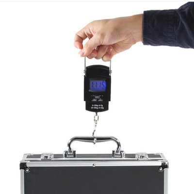 50kg/10g Mini Scale Hanging Luggage Fishing Hook Weighing Sc