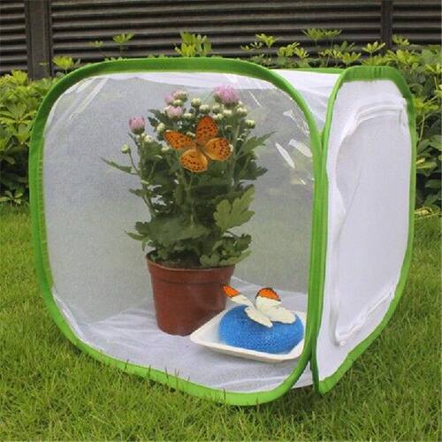 Green Collapsible Insect Cage Mesh Insect Habitat Cage