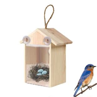 Window Bird Houses For Viewing Wooden Wild Bird Feeder