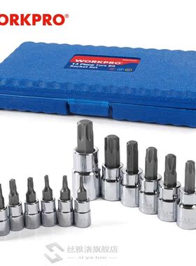 13PC Torx Bits Socket Set 1/4