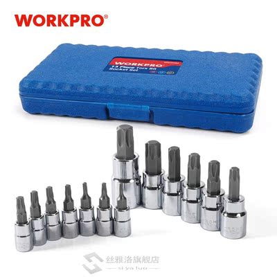 13PC Torx Bits Socket Set 1/4