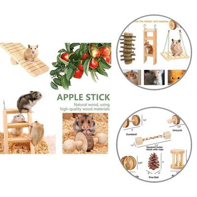 Solid 10Pcs/Set Safe Small Pet Ladder Swing Toy Set Molar