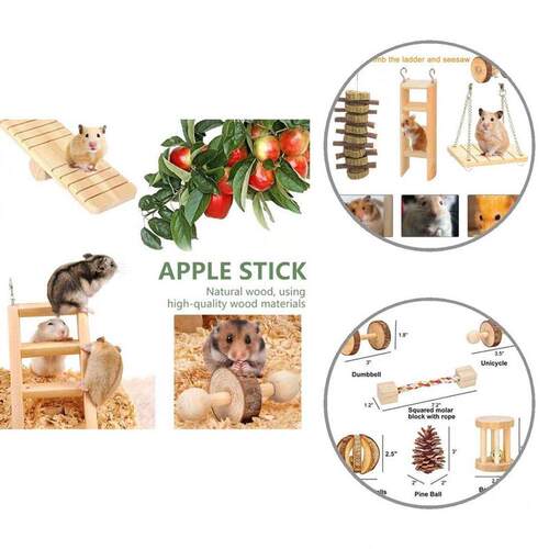 Solid 10Pcs/Set Safe Small Pet Ladder Swing Toy Set Molar