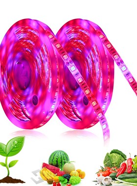 Full Spectrum LED Grow Light Phytolamp Grow LED Strip 12V Fl