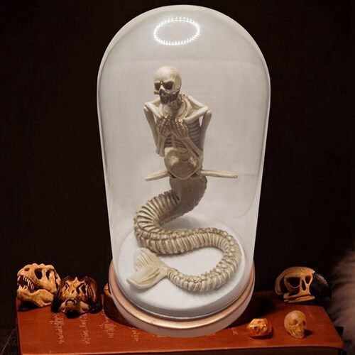 Hot Wendigo Skeleton Curiosity Cabinet Mermaid Skeleton