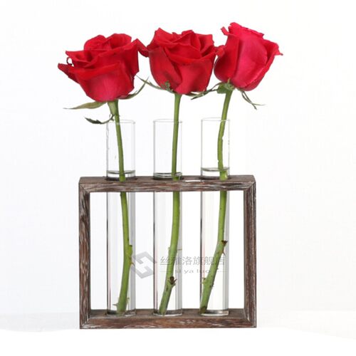 *Valentine's Day Gift Glass Test Tube Vase Flower Pots P
