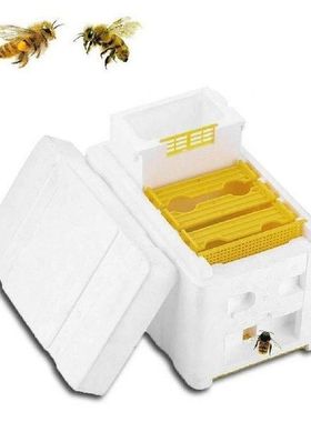 1 Set Queen Bee Breeding Mating Beehive Foam Mating Beehive