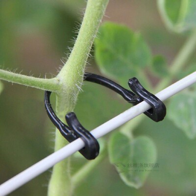 100Pcs   Tomato s Trellis Garden Vegetable Binder Twine Plan