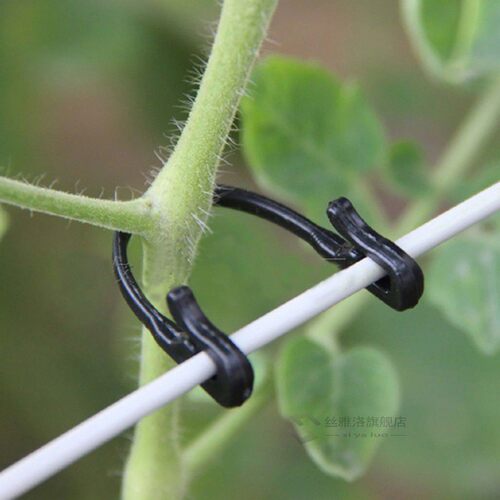 100Pcs   Tomato s Trellis Garden Vegetable Binder Twine Plan